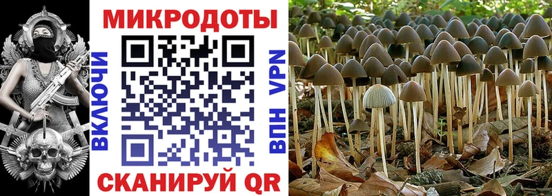 купить закладку  Мглин  MEGA зеркало  Псилоцибиновые грибы мицелий 